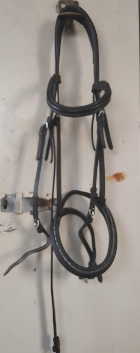 Bridon cheval