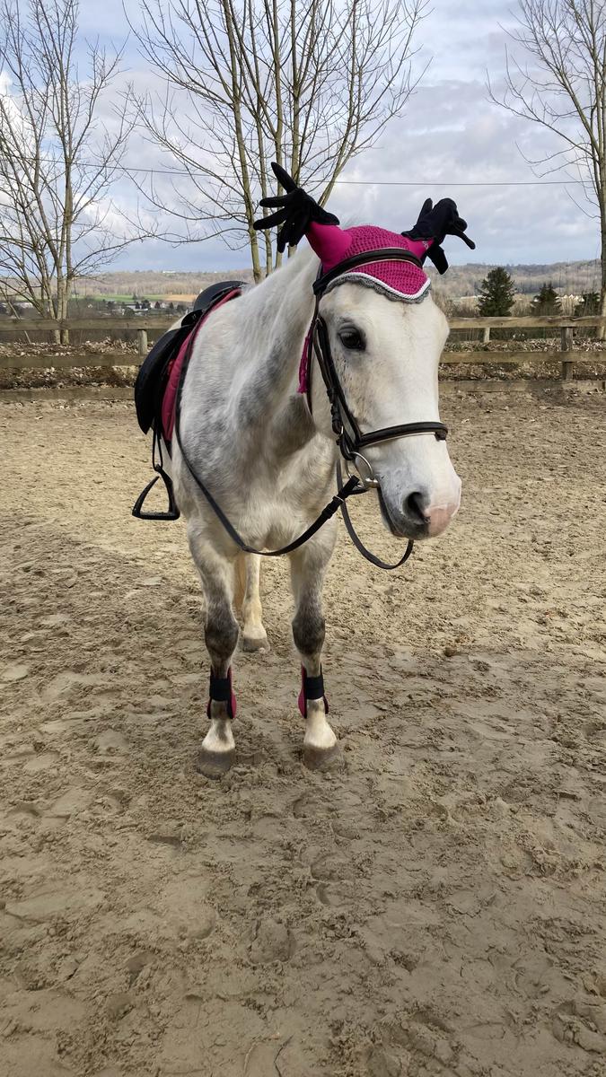 ensemble rose equithème