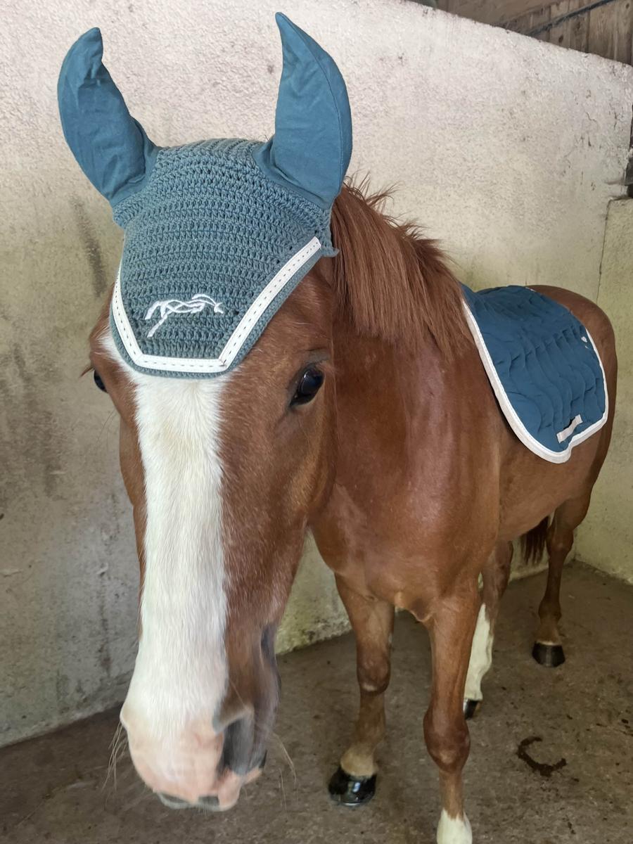 ensemble Pénélope bleu