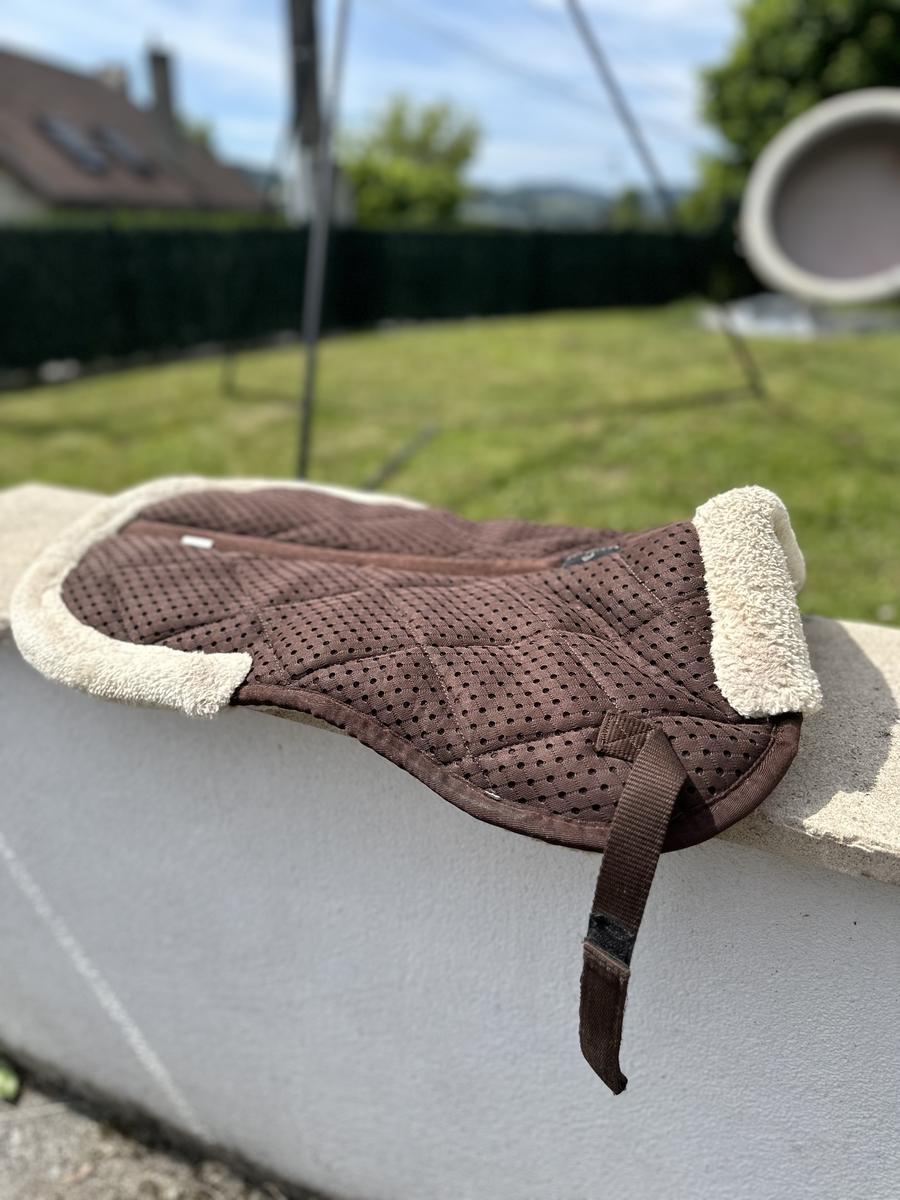 Amortisseur Equitheme pro air marron