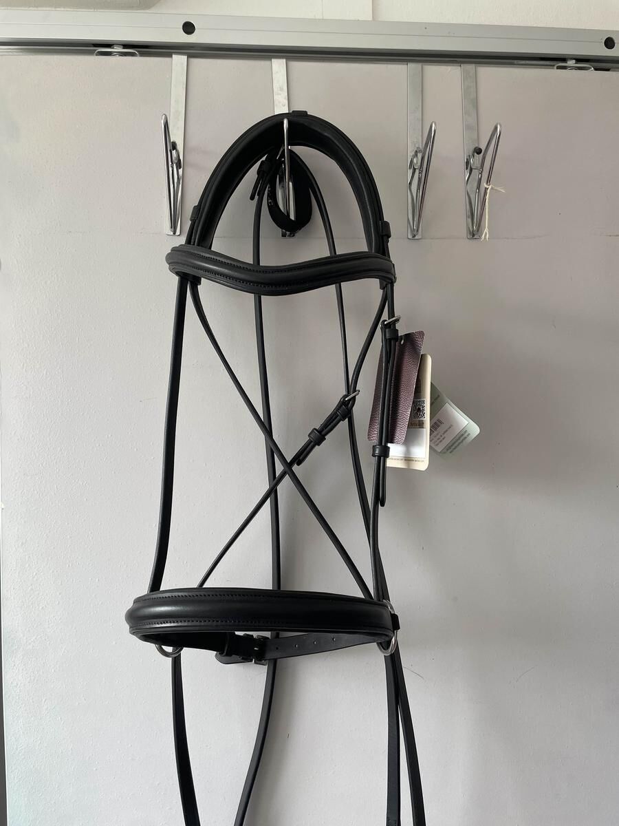 Bitless F.R.A Indy noir