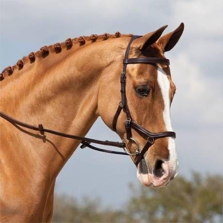 Bridon Horseware Micklem Competition