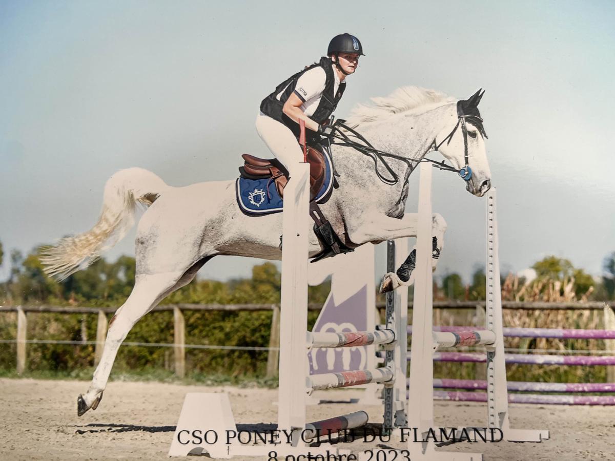 tapis Pénélope leprevot