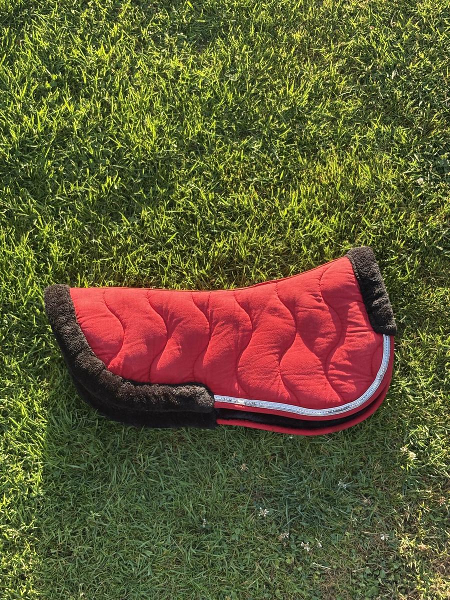 Amortisseur rouge, mouton noir