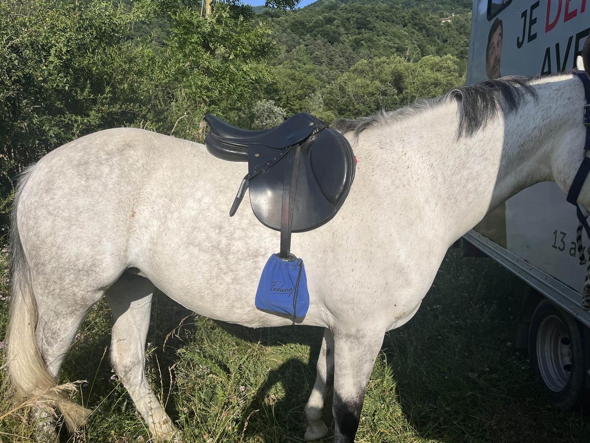 selle Éric mondange