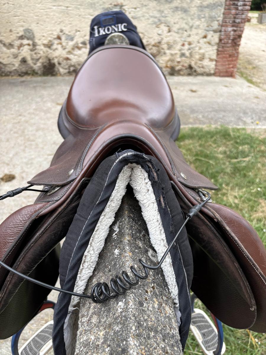 selle forestier à vendre