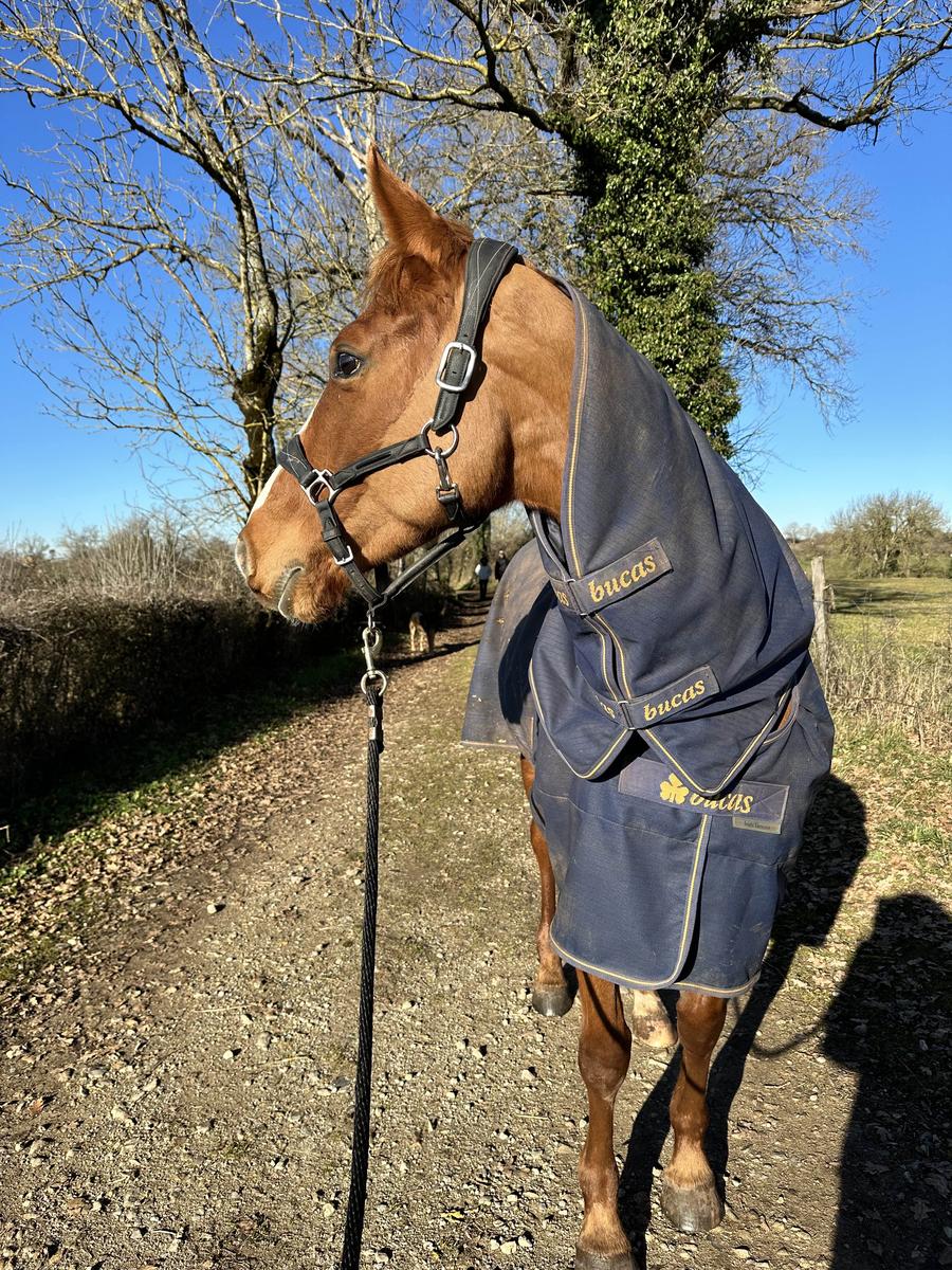 couverture + couvre cou extérieur bucas