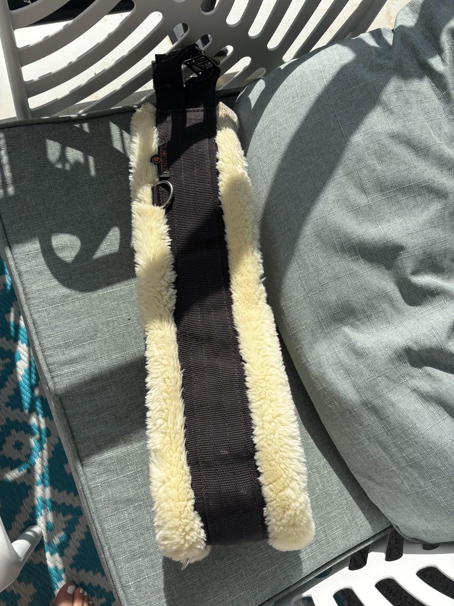 Sangle Kentucky mouton