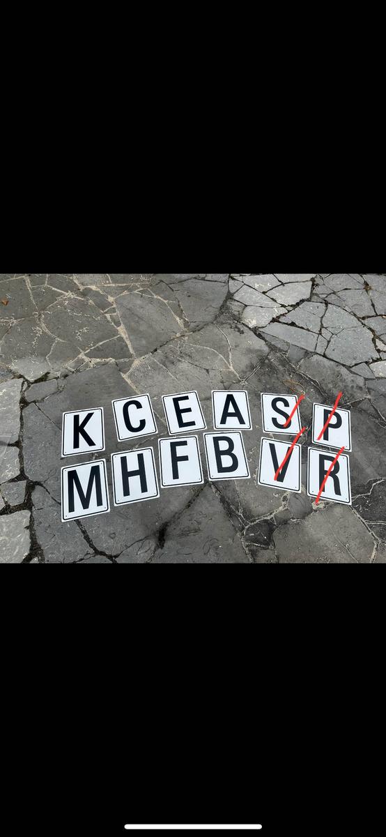 lettres carriere de dressage