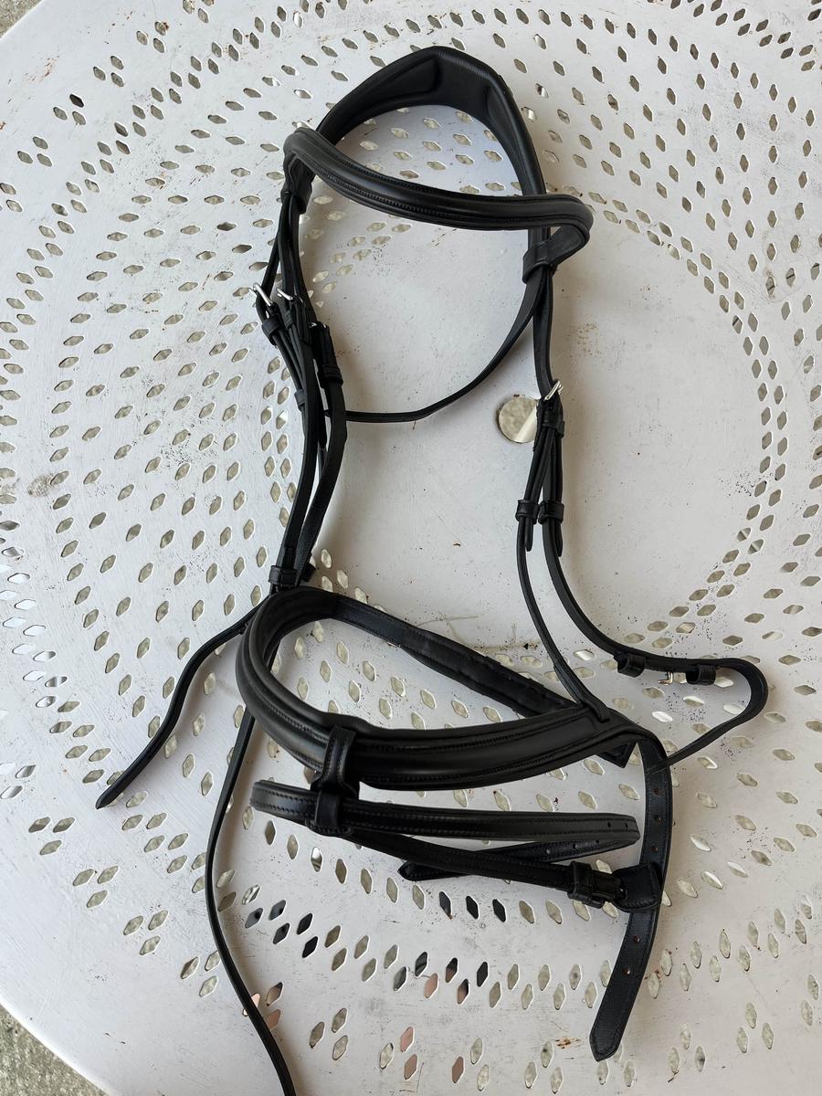 filet anatomique et frontale