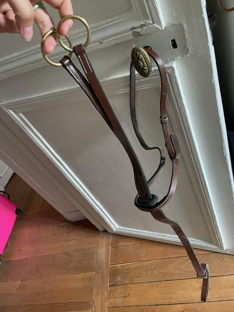 Martingale marron Poney D