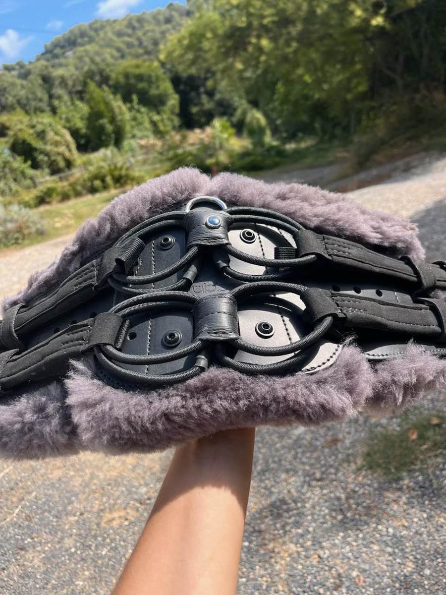 Sangle Stuebben equisoft