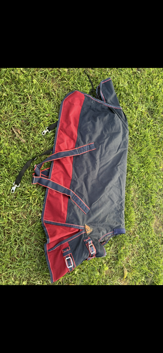 Couverte de box shetland Epplejeck 100 / 125 300g