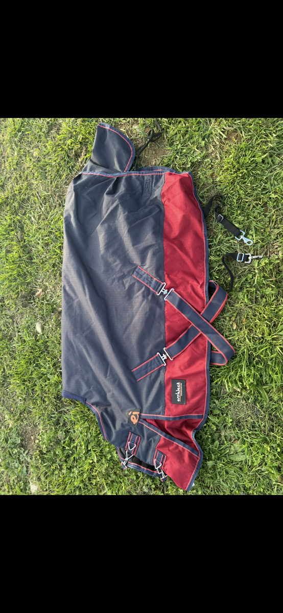 Couverture shetland de box Epplejeck 105 / 135 300g