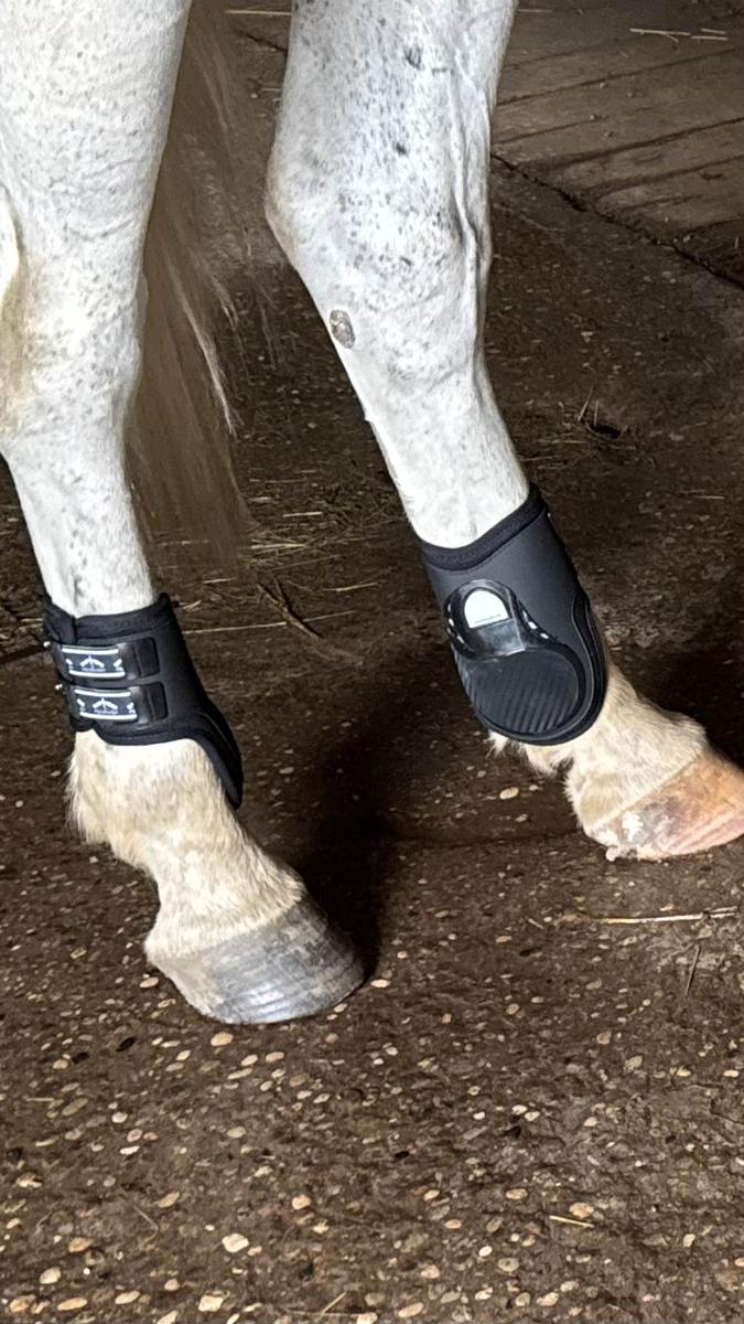 protège boulet veredus