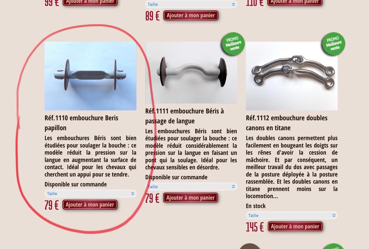 Mors Berris papillon pour filet Alain Ventre