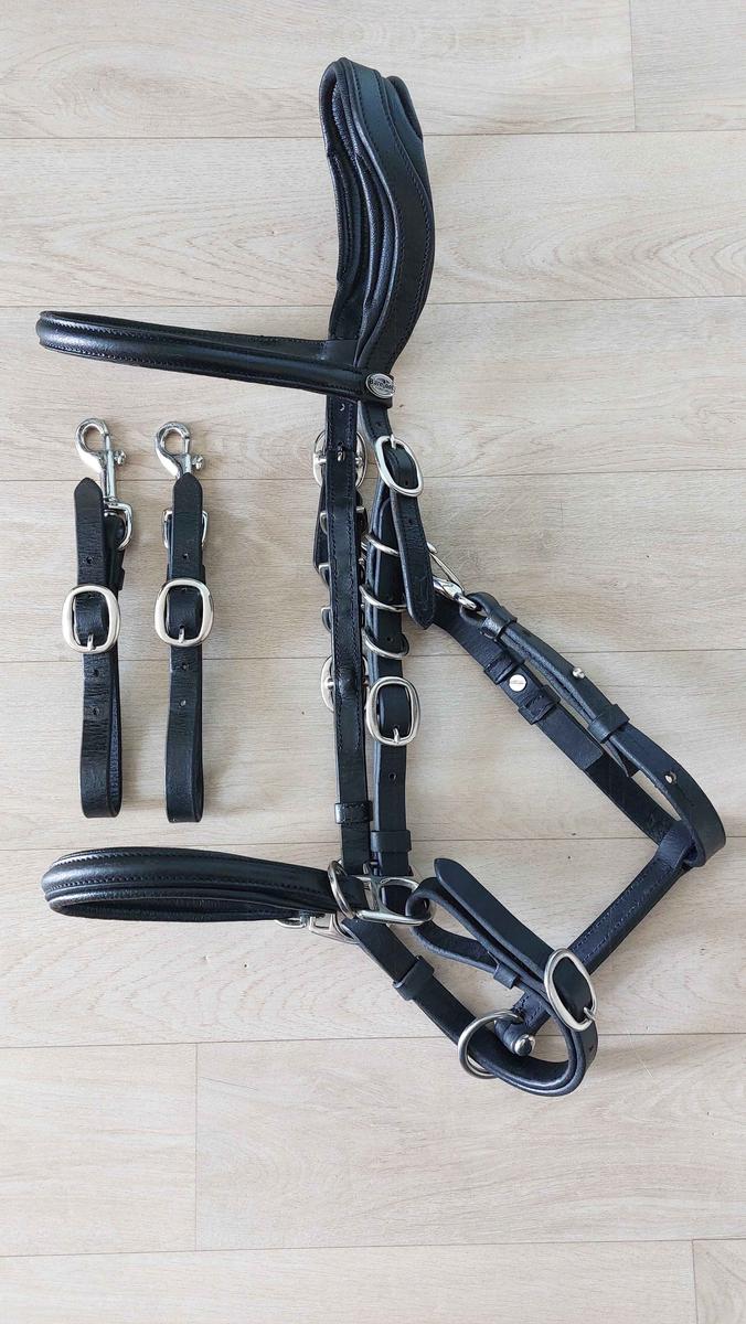 Licol / bridon / sidepull 3 en 1 Barefoot