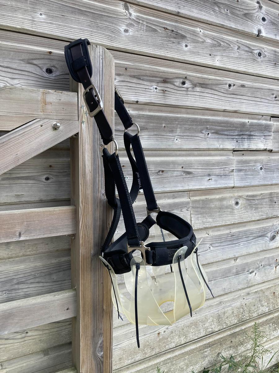 Lot Thinline : panier, licol et protections de licol