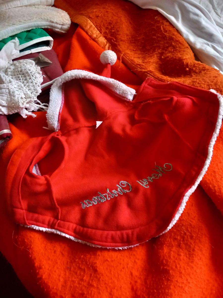 costume de Noël pour un petit chien