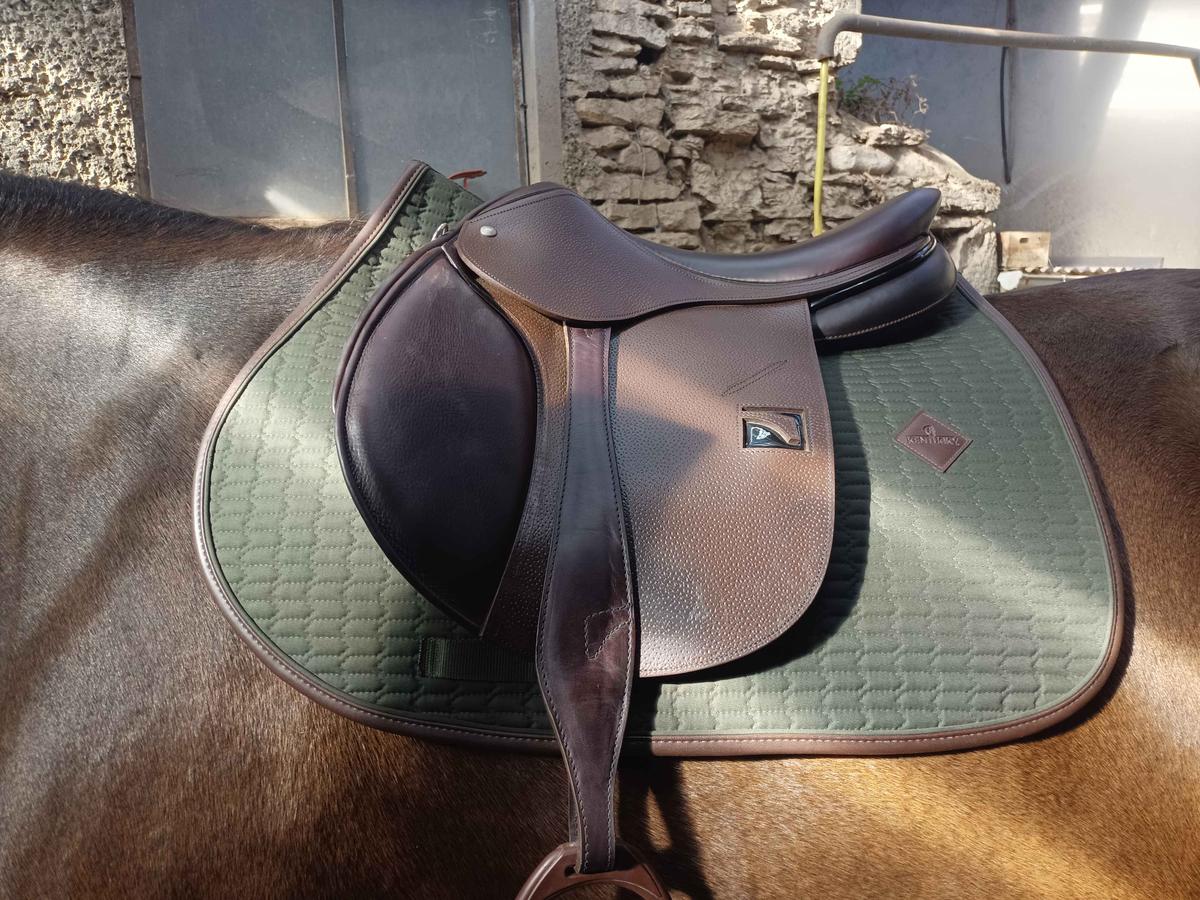 tapis Vends tapis Kentucky velvet vert forêt lisere cuir marron