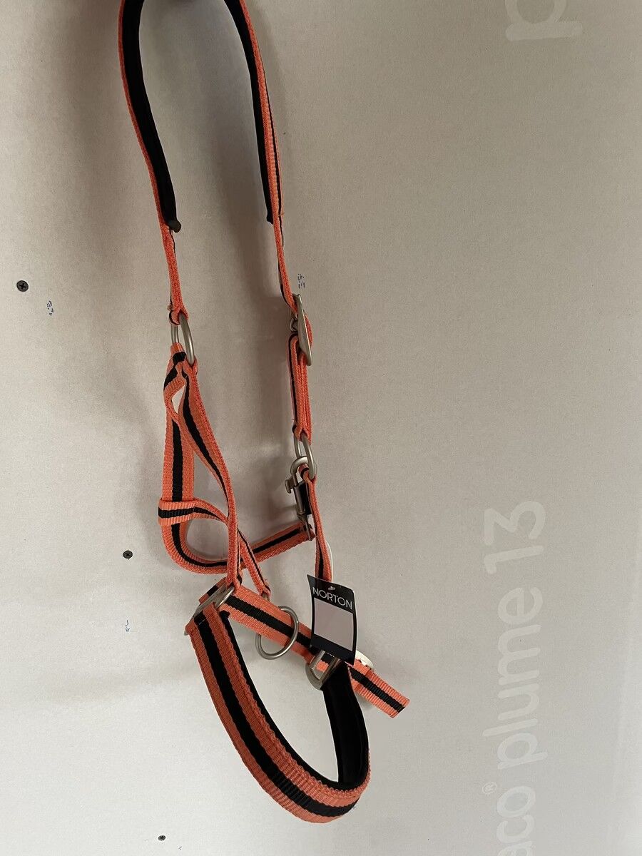 Licol Norton nylon doublé cuir bicolore