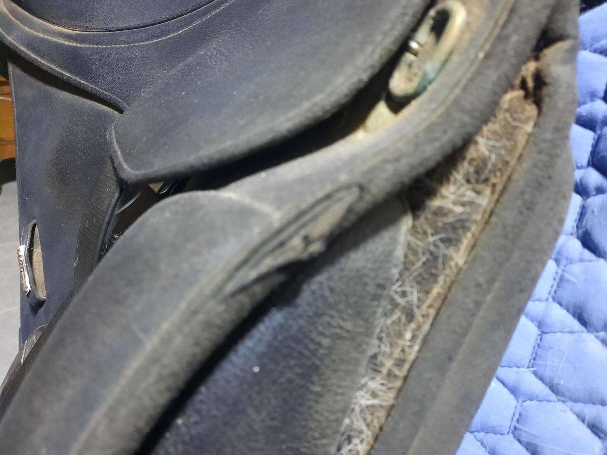 Selle de dressage WINTEC 17 pouces