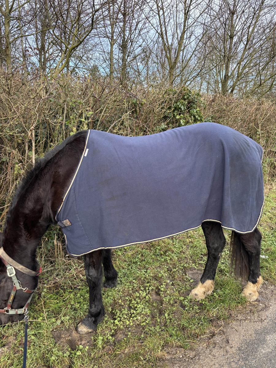 Couverture séchante