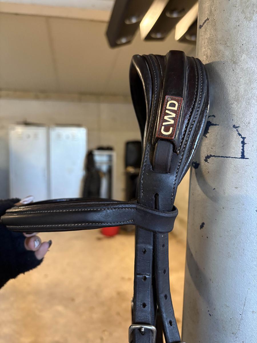 Bridon CWD anatomique