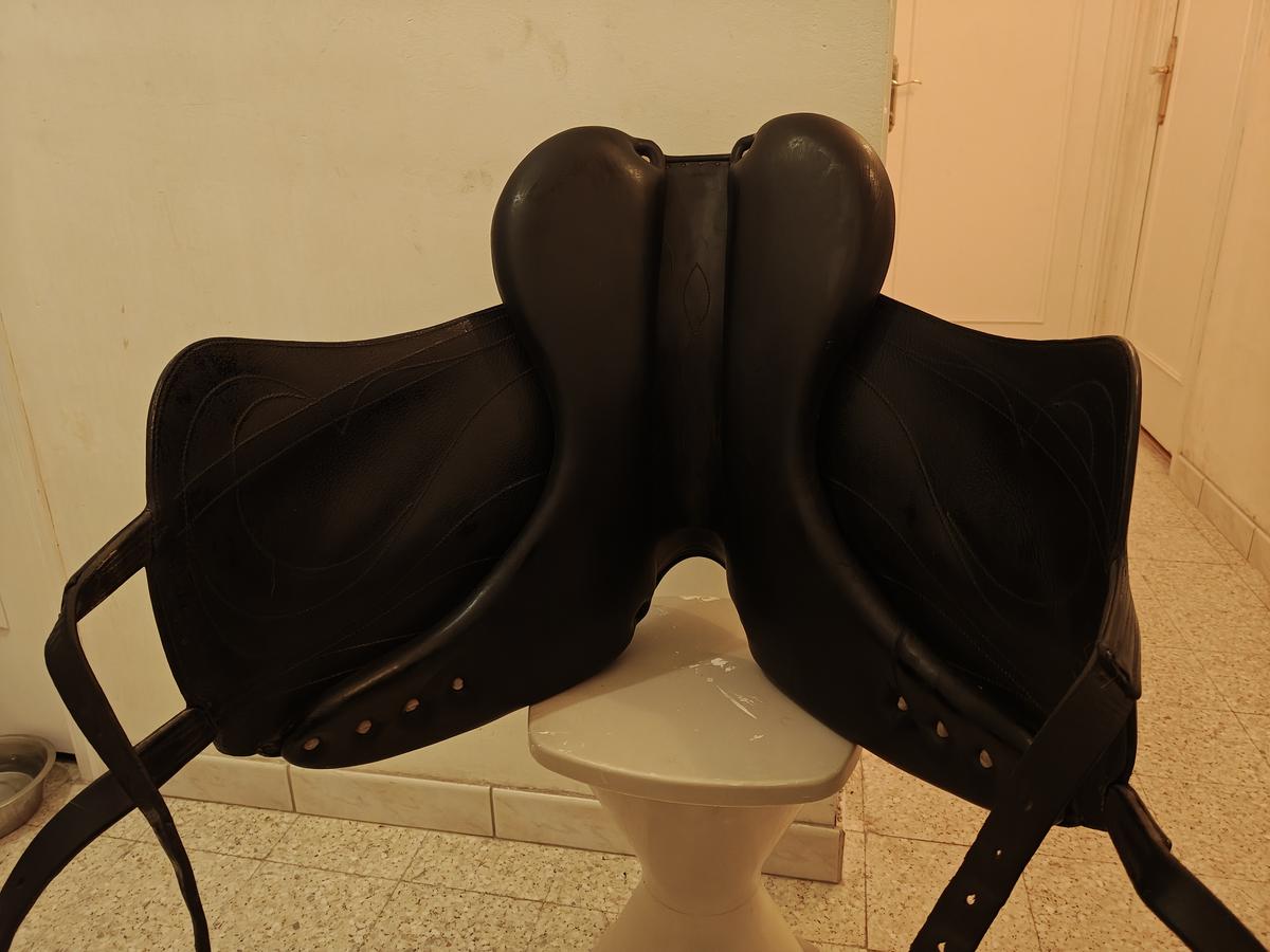 Selle de dressage Antares