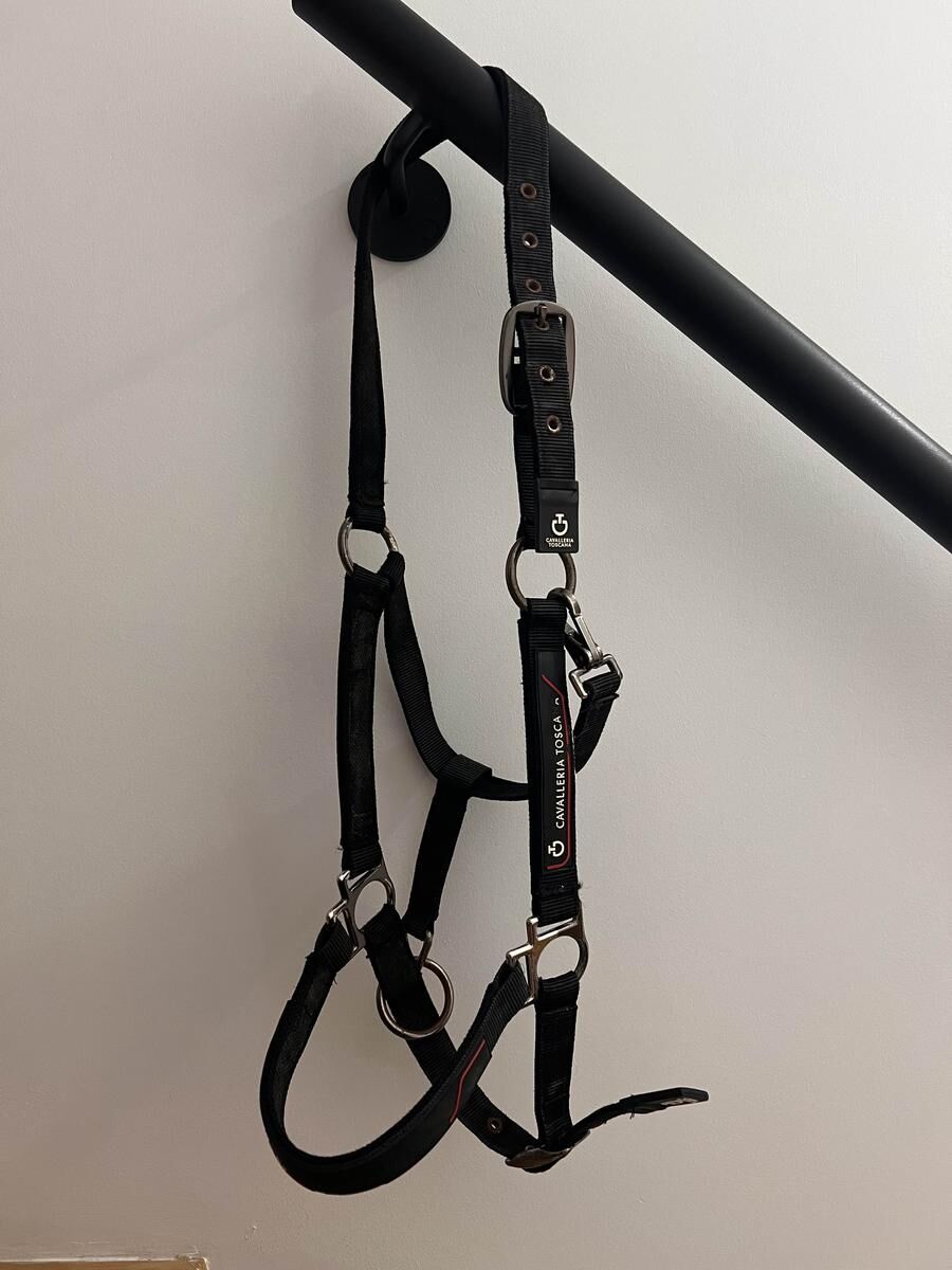 licol cavalleria toscana full