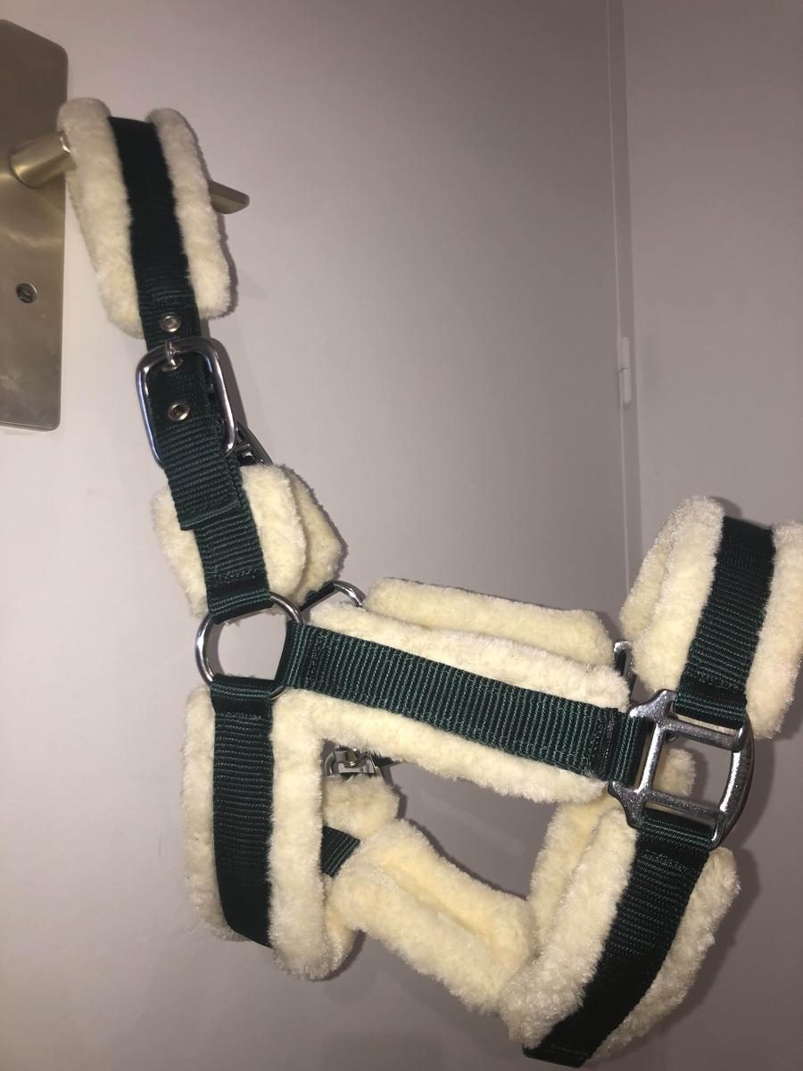 licol Norton vert sapin