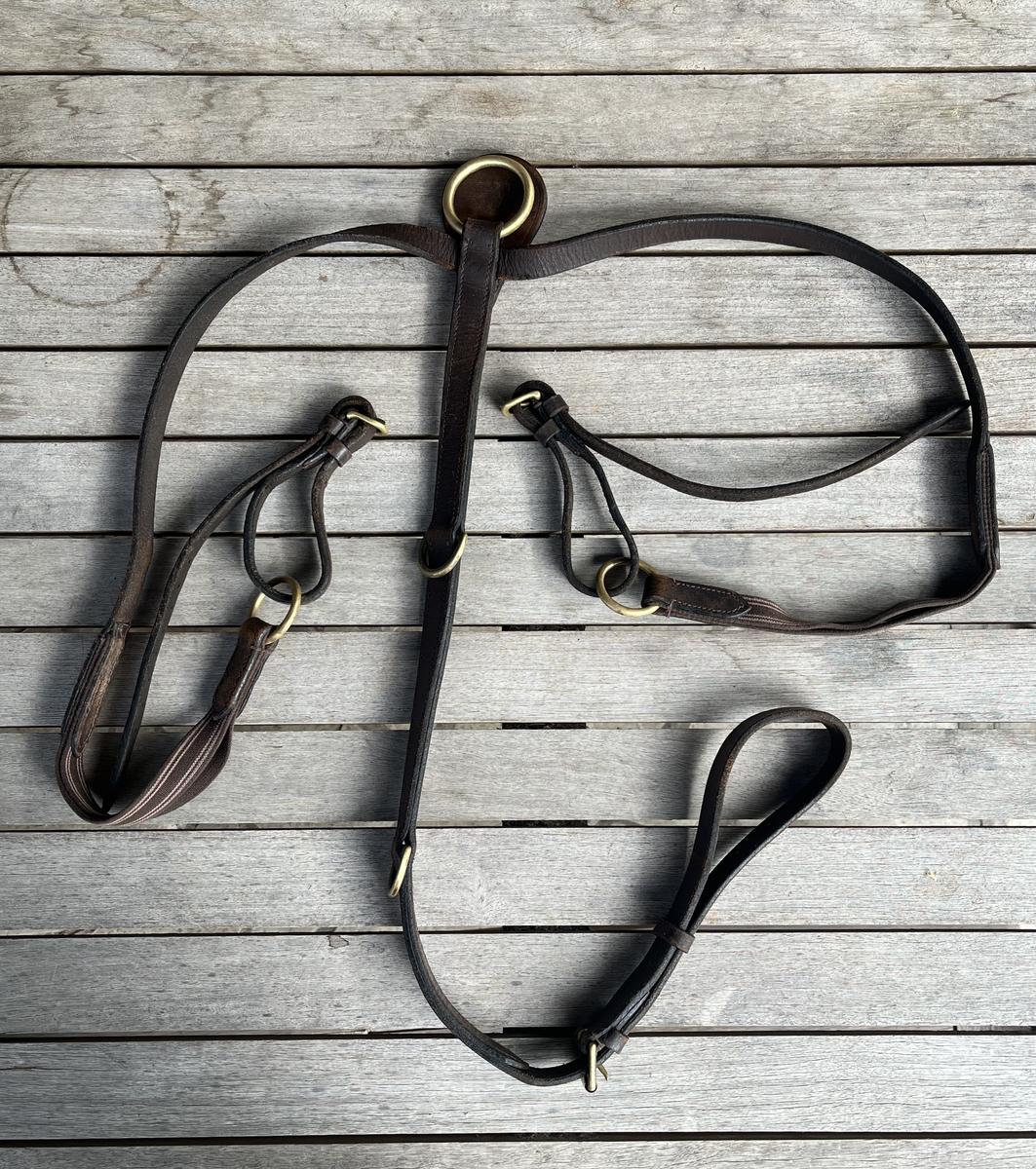 Collier de chasse marron