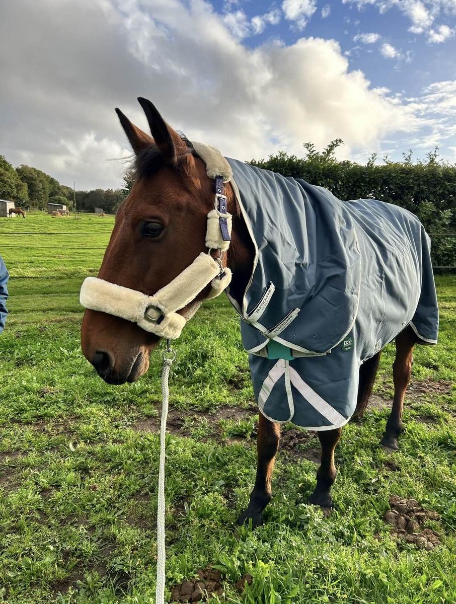 Couverture Horseware 155 imperméable