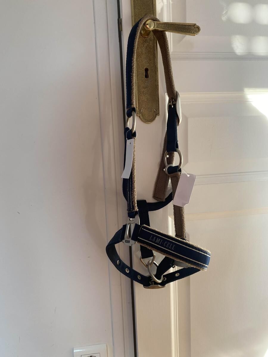 licol Lamicell bleu COB