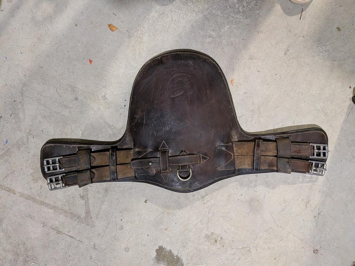 SANGLE COURTE BAVETTE FORESTIER