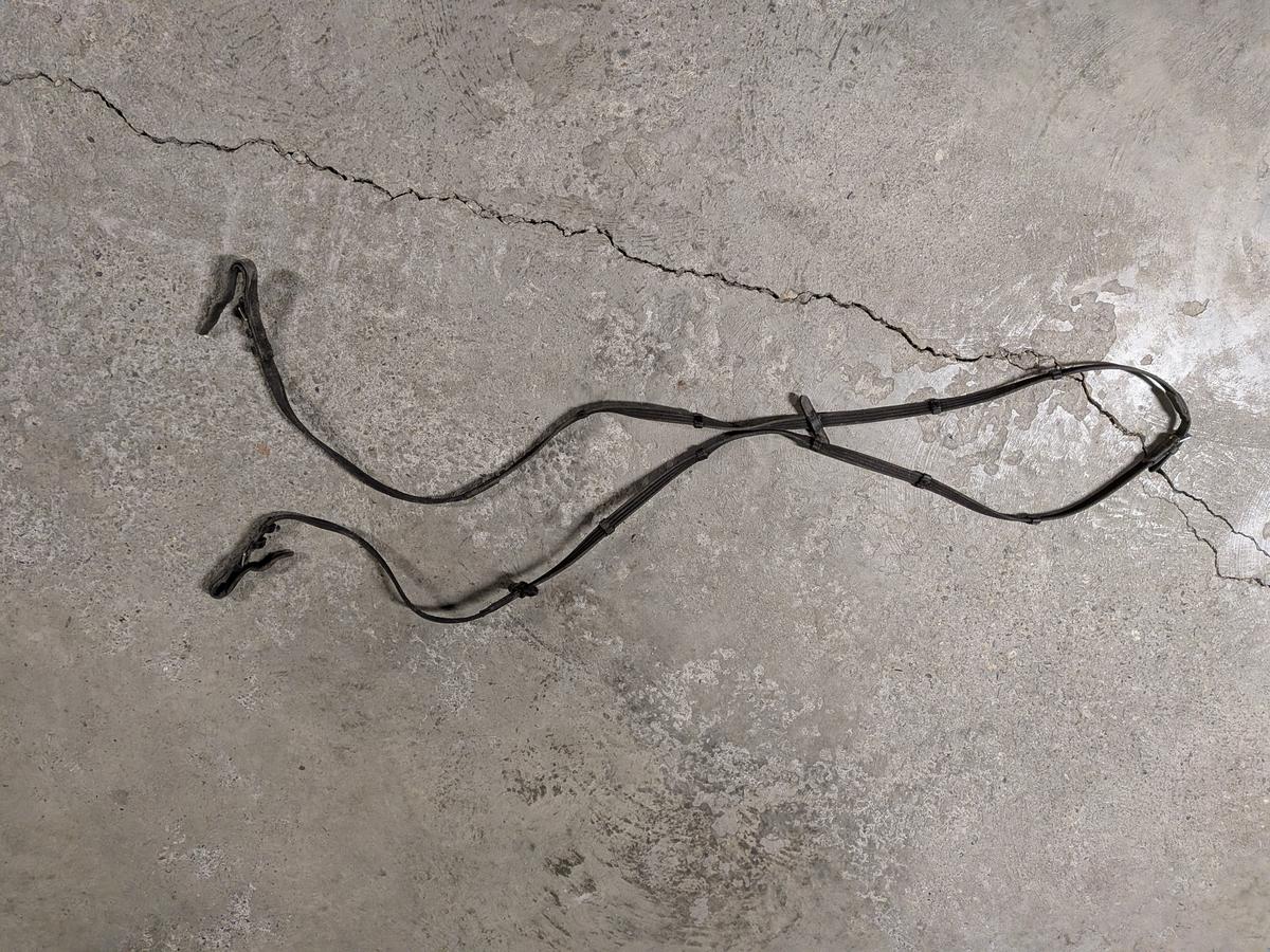 RENES CLASSIQUES NOIRES