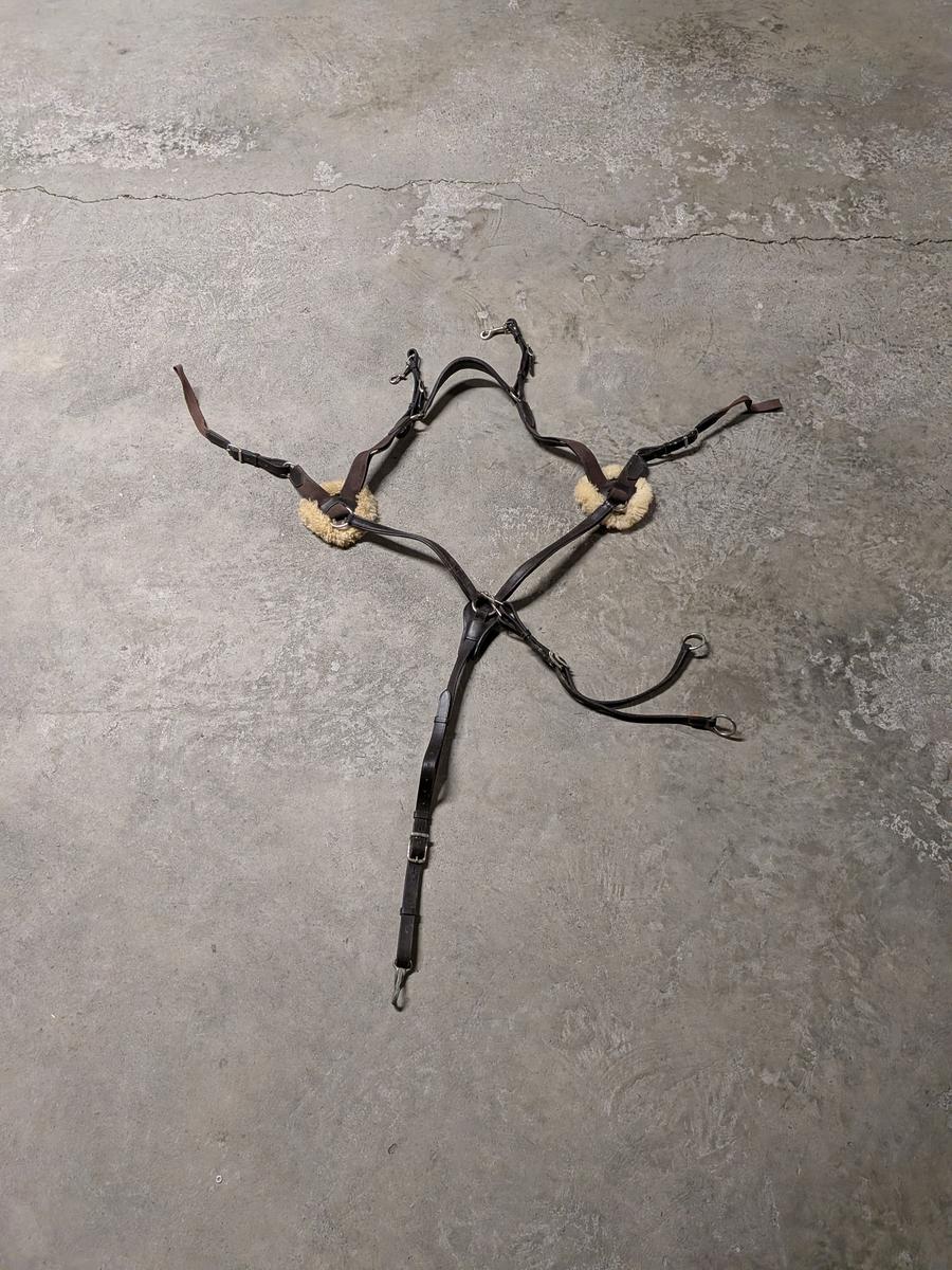 COLLIER DE CHASSE + MARTINGALE