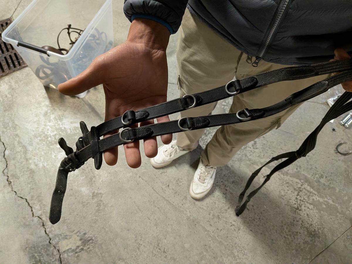 ENREINEMENT HOWLETTS