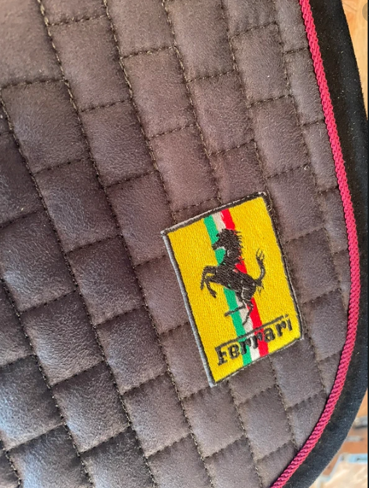 Tapis LeMieux formule 1 Ferrari