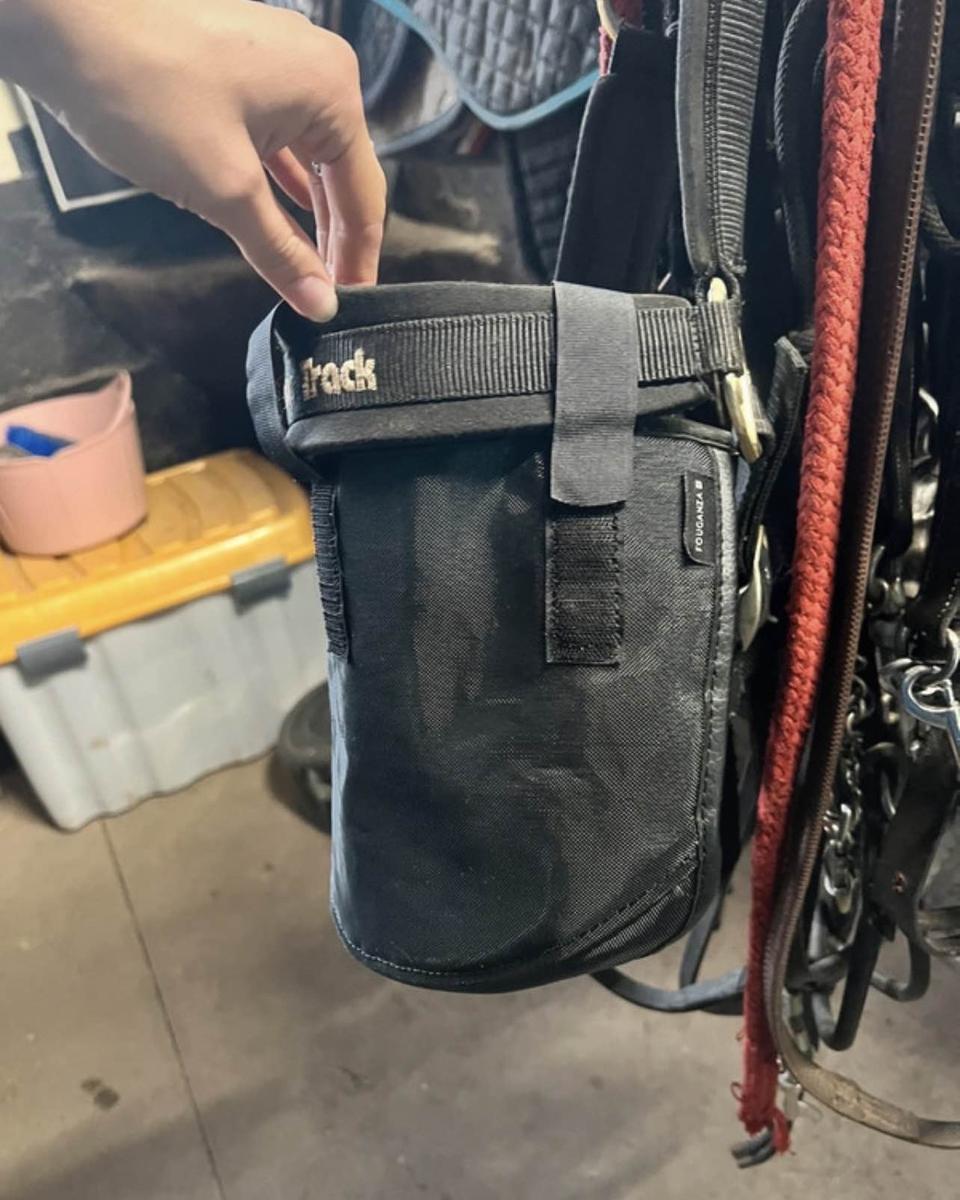 filet de muserolle anti mouches