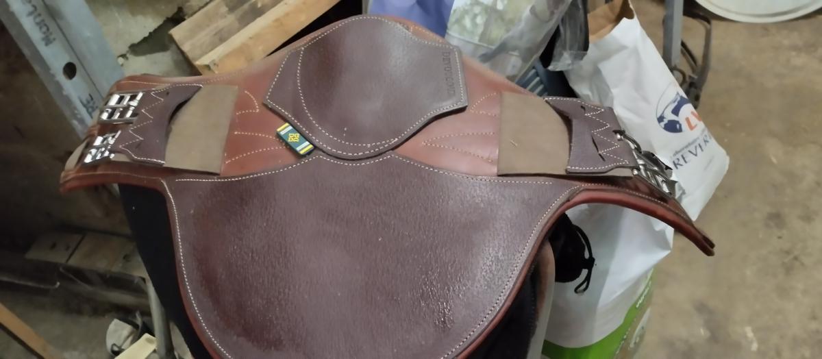 Sangle bavette courte devoucoux