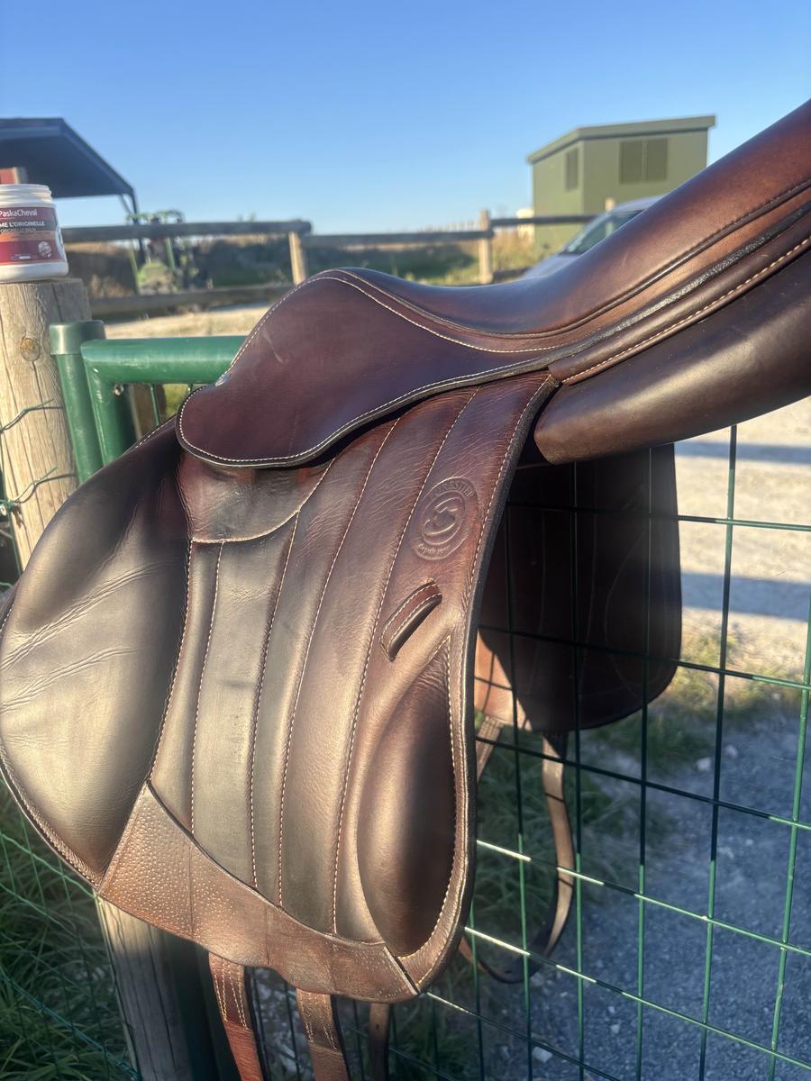 selle mono quartier forestier