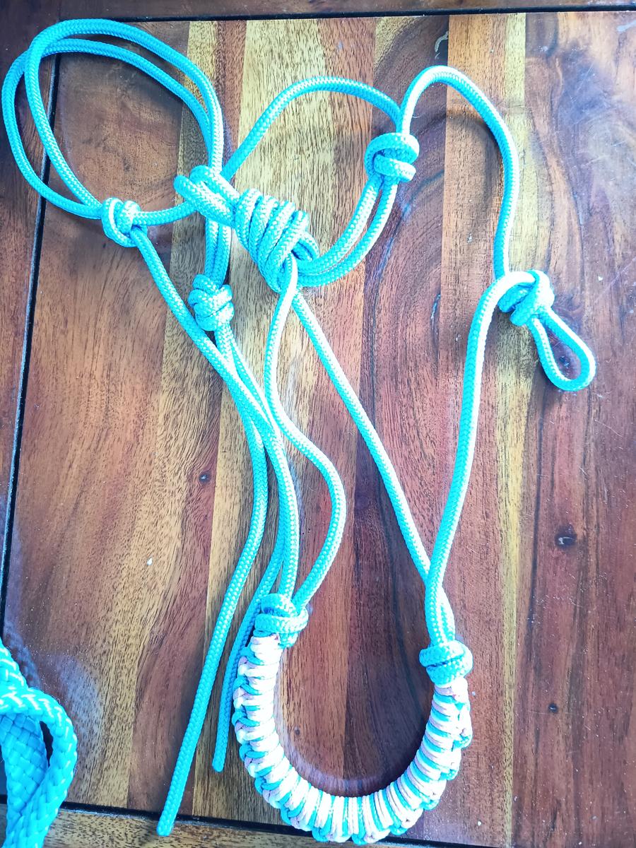 Licol éthologique Bleu