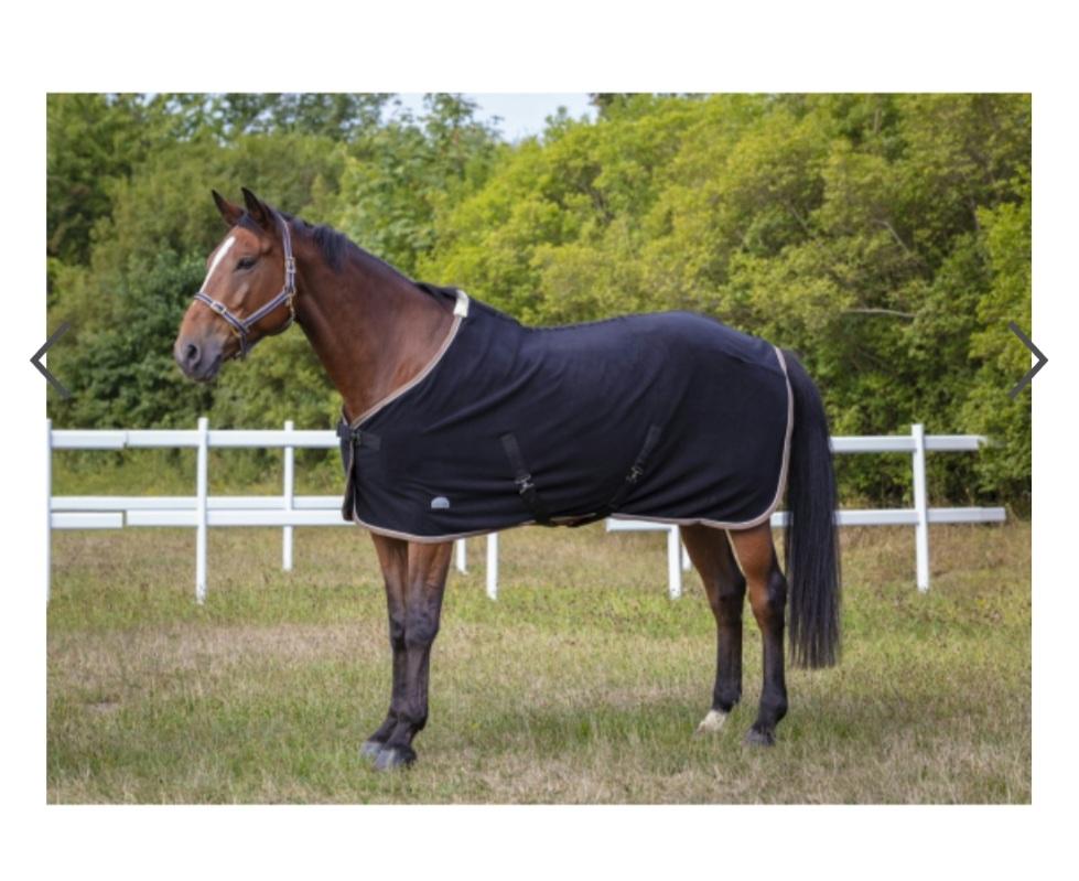 Chemise polaire POLYFUN