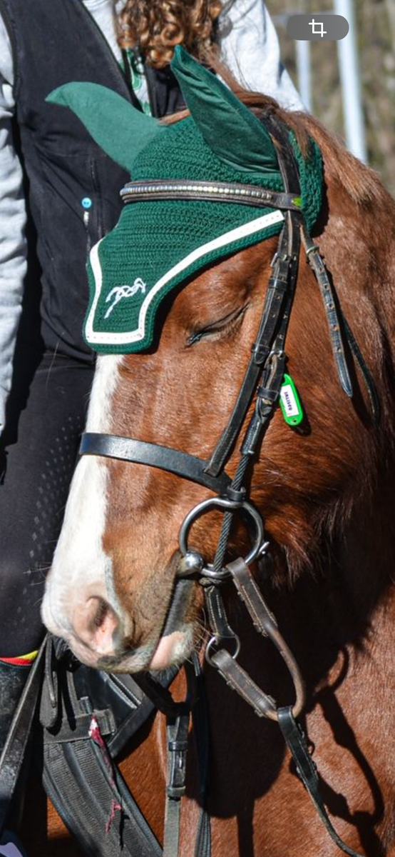 bonnet Pénélope vert