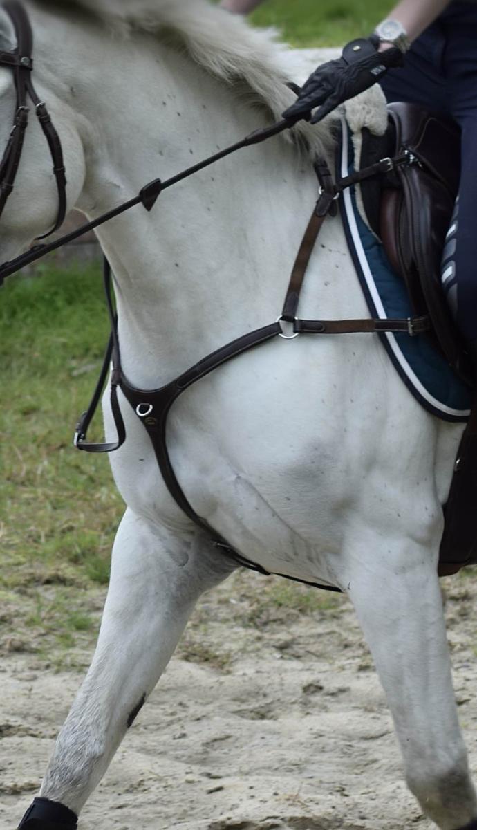 Collier de chasse Protanner Gold