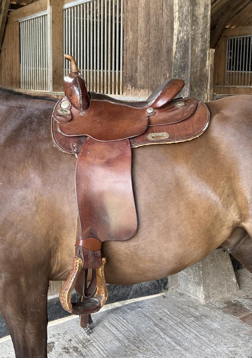 Selle Western Diamond C