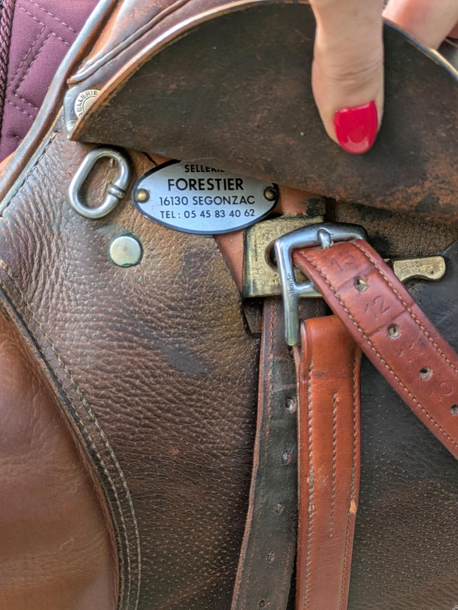 Selle Mixte Forestier