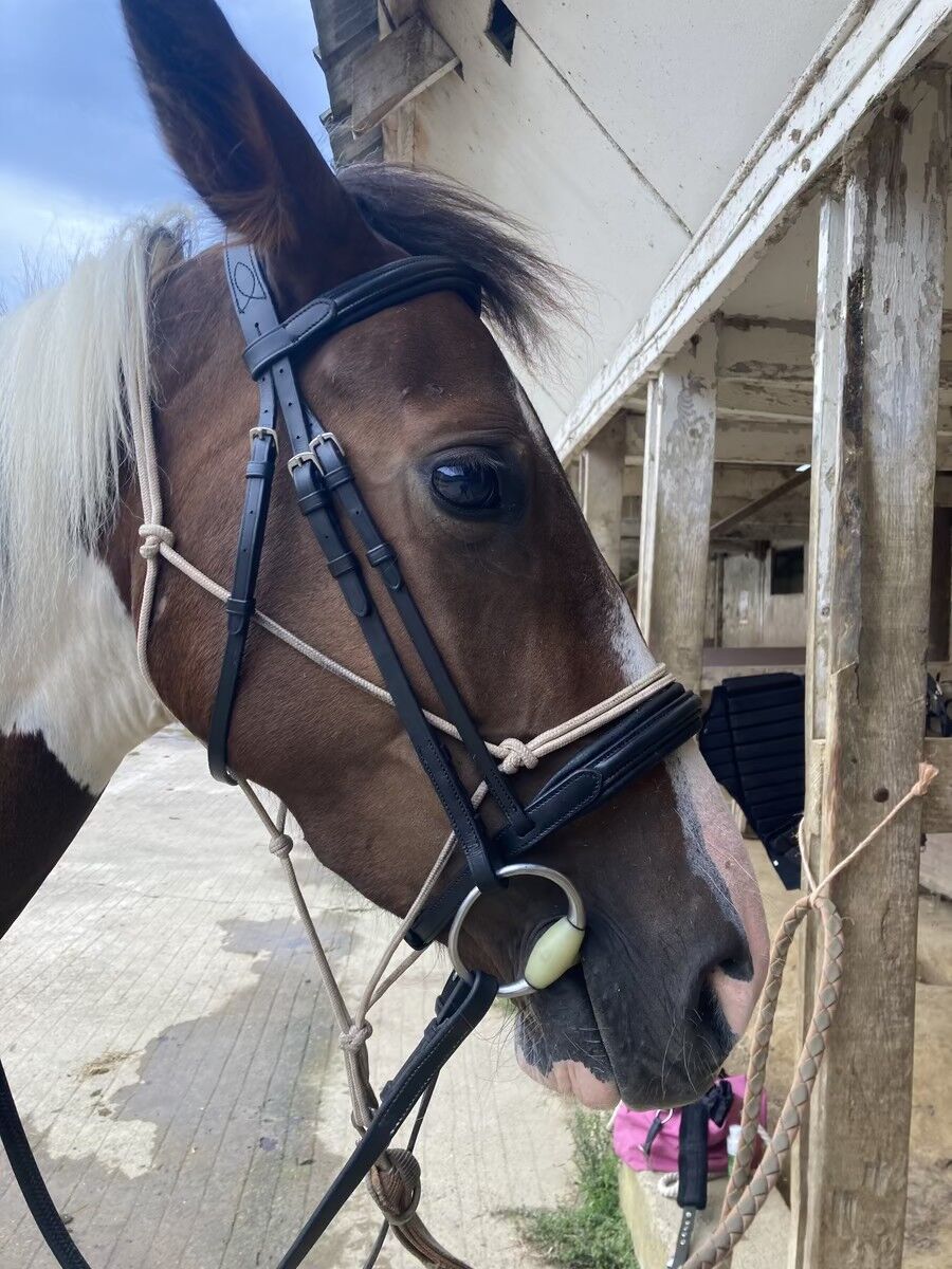 Filet Eric Thomas Work COB