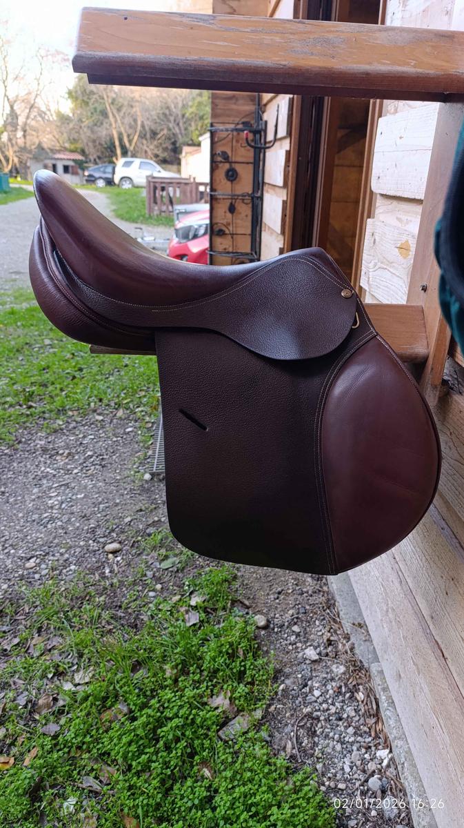 selle forestier 17 "